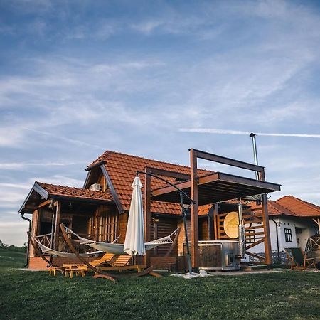Brvnara Vila Promaja Kladovo Bagian luar foto